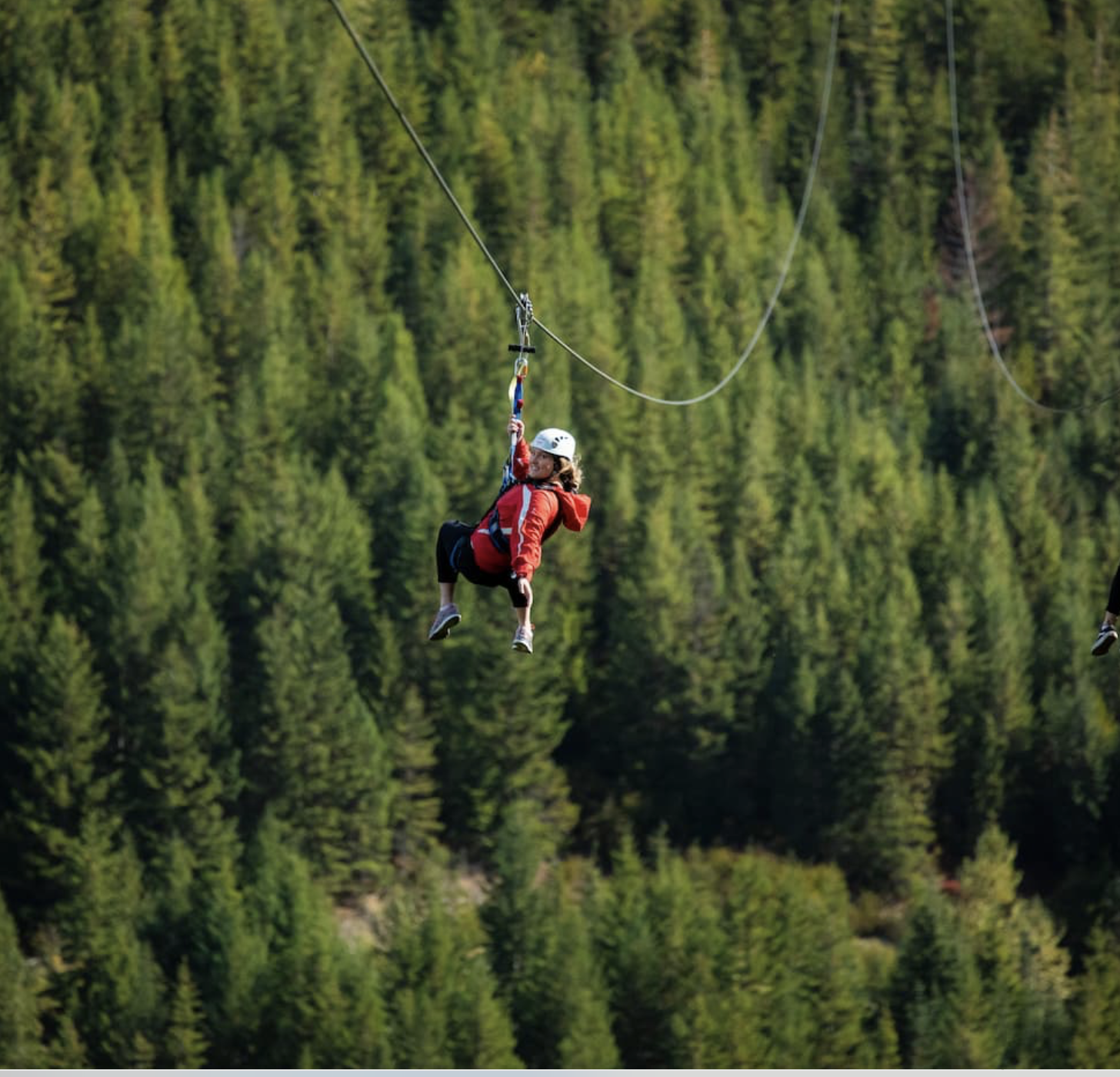 Ziptrek